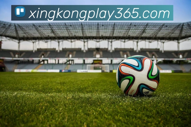 星空电子平台生态图