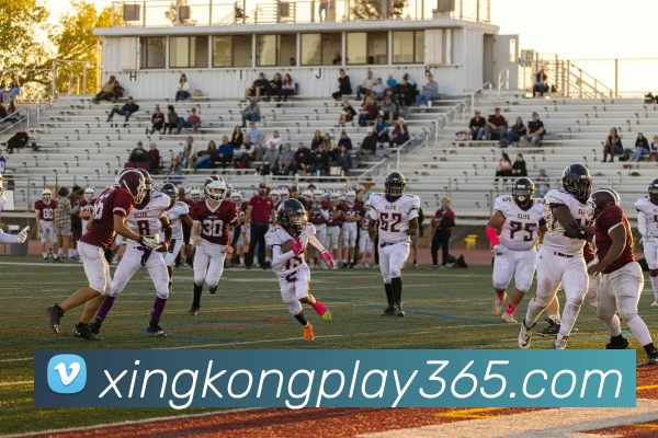 数据防护可视化